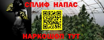 ГАЛЛЮЦИНОГЕННЫЕ ГРИБЫ Будённовск
