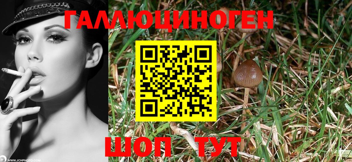 Галлюциногенные грибы ЛСД Мыски